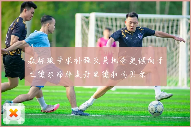 森林狼寻求补强交易机会更倾向于兰德尔而非麦丹里德和戈贝尔